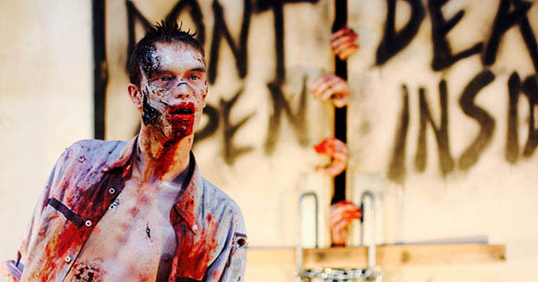 Survivor lasting one year in a intense zombie apocalypse scenario