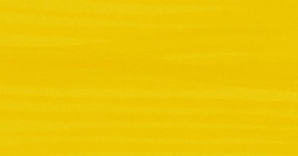 Bright yellow sunflower radiating warmth energy and cheerful optimistic personality