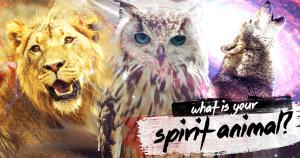 What is Your Spirit Animal?