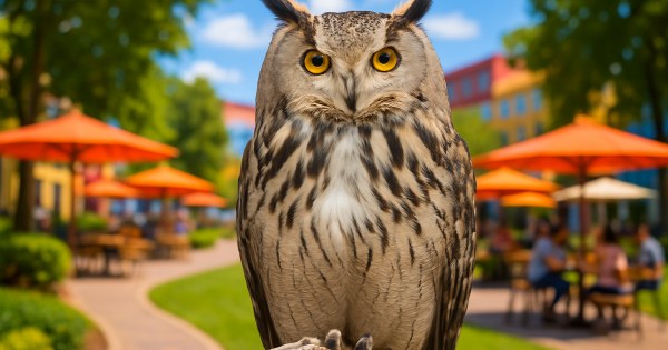 Wise owl perched on branch representing thoughtful introspective personality quiz result