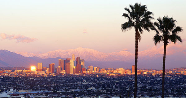 Smiling woman enjoying sunny Los Angeles skyline and palm trees